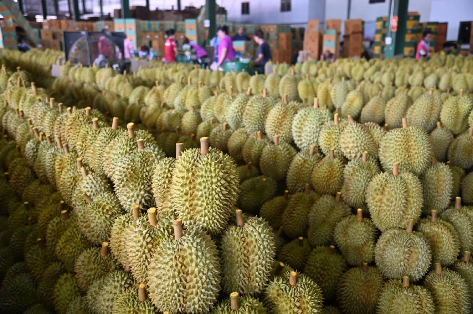 อึ้ง!แม่ค้าพ่อค้าหัวใส โกงเครื่องชั่งแค่เดือนมิ.ย.จับได้90เครื่อง