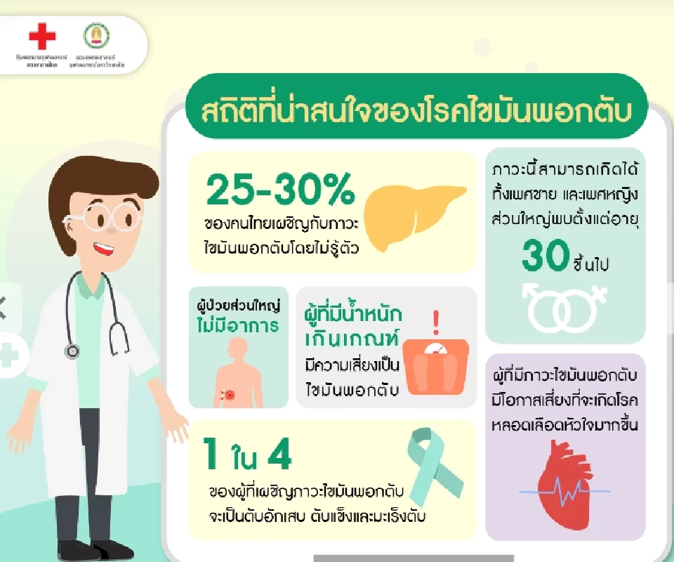 "ไขมันพอกตับ" ภัยเงียบผู้ป่วยส่วนใหญ่ไม่มีอาการ เช็คสาเหตุ-การรักษา