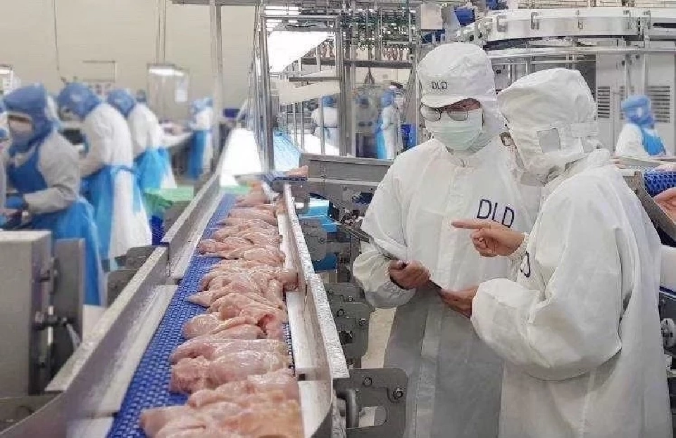 11 โรงงานไก่ไทยเจ๋ง  ผ่านประเมิน "มาเลเซีย" ดันส่งออก 10%