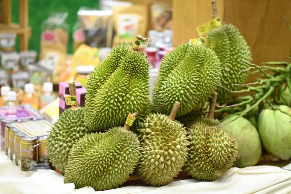 ชาวจีนแห่ชม ชิม ชอป  Thai Fruits Golden Months ที่กวางโจว