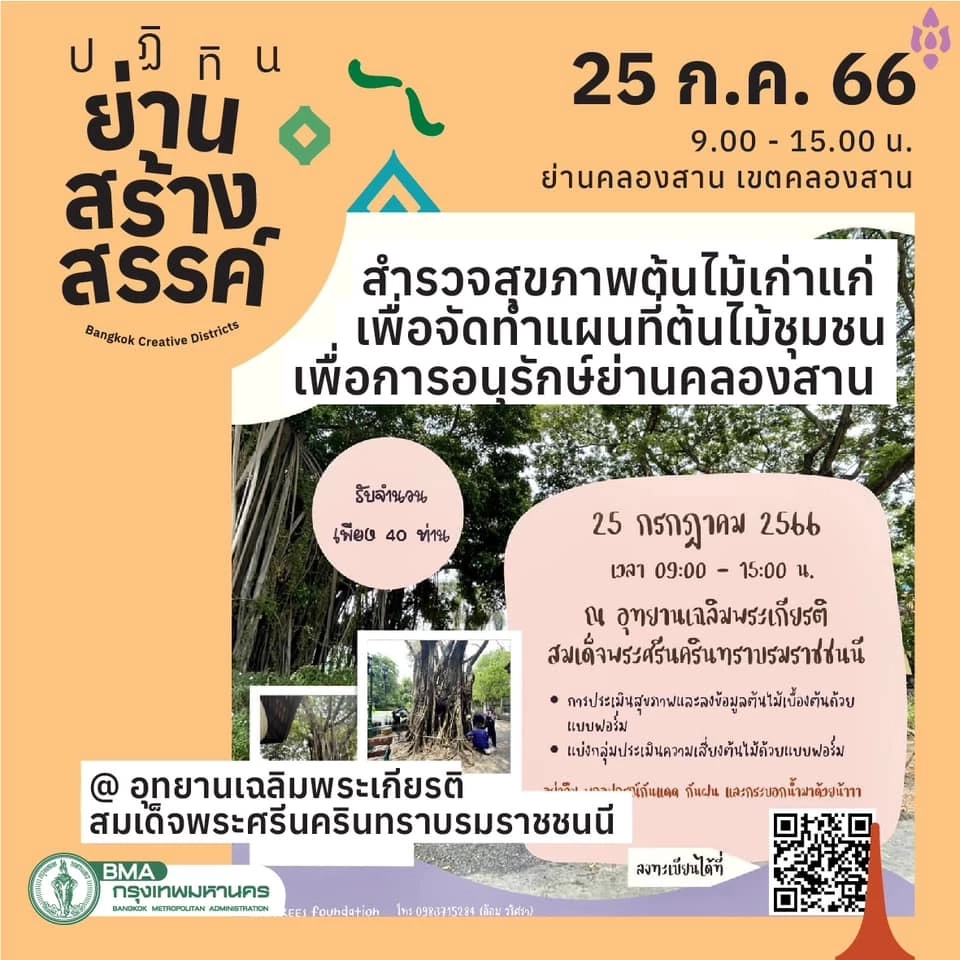 อาสาสมัครสำรวจสุขภาพต้นไม้เก่าแก่