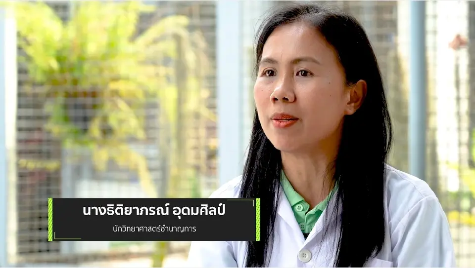 การพัฒนาสารกำจัดศัตรูพืชจากสารสกัดน้อยหน่า ป้องกันกำจัดหนอนใยผักในคะน้า