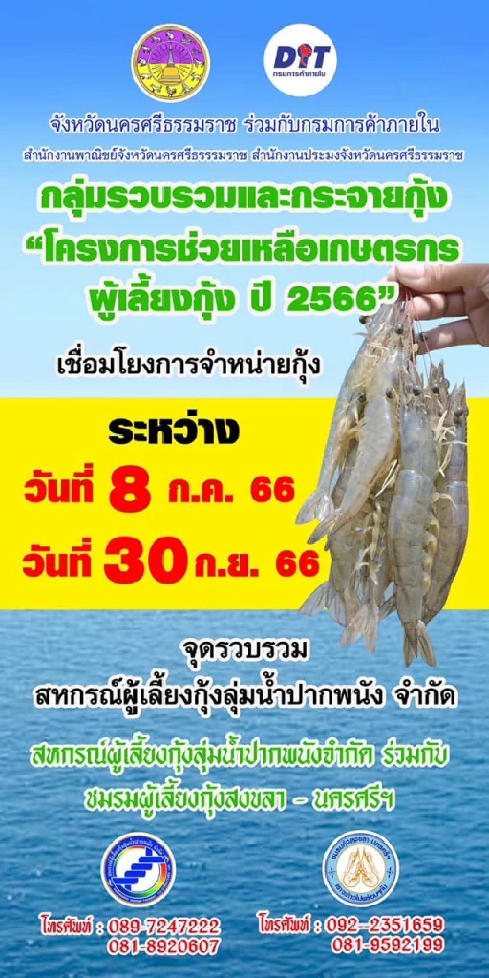 “พาณิชย์” คิกออฟ “ชดเชยราคากุ้ง” ผวาขัด WTO ลุ้น 2 เดือนราคาขยับ