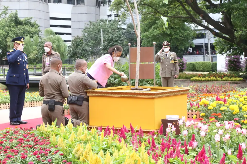 สมเด็จพระกนิษฐาธิราชเจ้าฯ เสด็จพระราชดำเนินไปทรงปลูกต้นไม้ สวนปทุมวนานุรักษ์