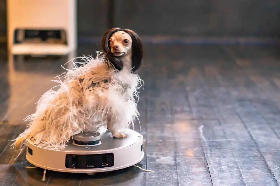 ECOVACS เปิดตัว “DEEBOT T20 OMNI” หุ่นยนต์ดูดฝุ่นอัจฉริยะรุ่นใหม่ล่าสุด