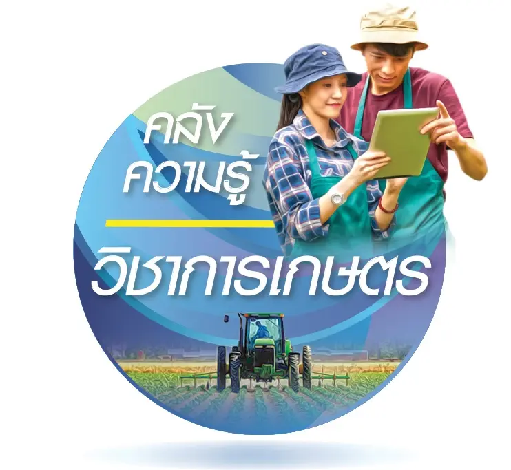นวัตกรรมปาล์มนํ้ามันเมืองสุราษฎร์ ต้นแบบยกระดับการผลิต-สร้างมูลค่าเพิ่ม