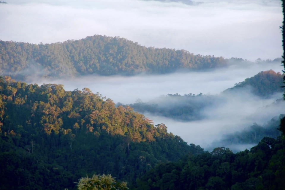 หน่วยพิทักษ์อุทยานแห่งชาติที่ กจ.19 (เขาพะเนินทุ่ง)