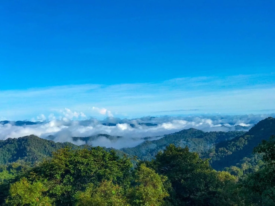 ทะเลหมอก อุทยานแห่งชาติแก่งกระจาน