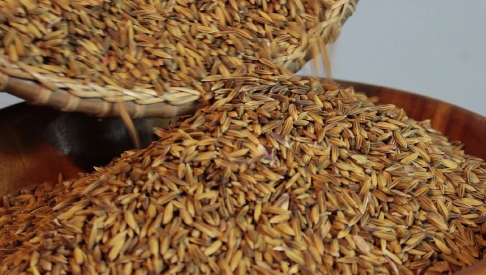 วุ่นไม่จบ ประมูลข้าวแต่ไม่มารับ อคส.เตรียมเปิดอีกรอบ1.5หมื่นตัน11ส.ค.นี้