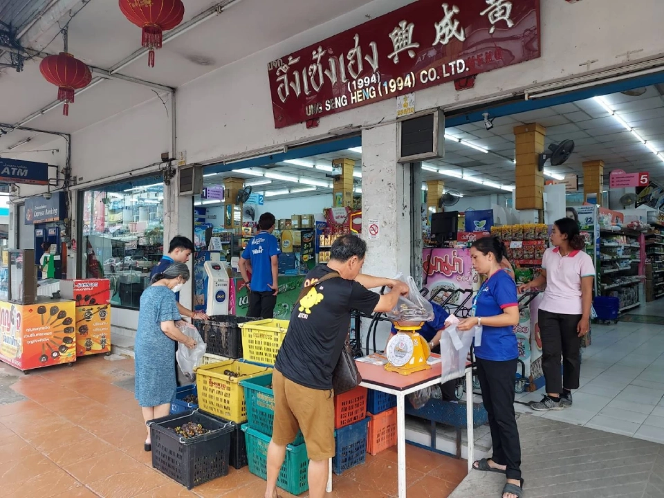 พาณิชย์เปิด120จุดในห้างห้องถิ่นขายมังคุดใต้  ช่วยชาวสวนกว่า1พันตัน