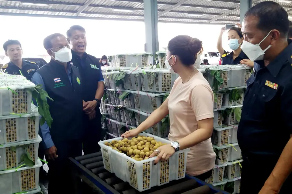 สั่งคุมเข้มมาตรฐานส่ง “ลำไยภาคตะวันออก”ไปจีน