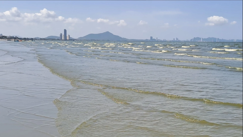 ทะเลบางแสนกลับสู่ภาวะปกติ