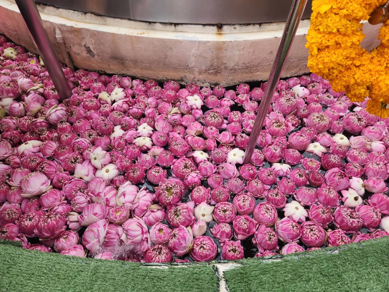 25 ส.ค.66 วันวาราลักษมี วรัทตัม  ขอพร "พระแม่ลักษมี"1ปีมีครั้ง