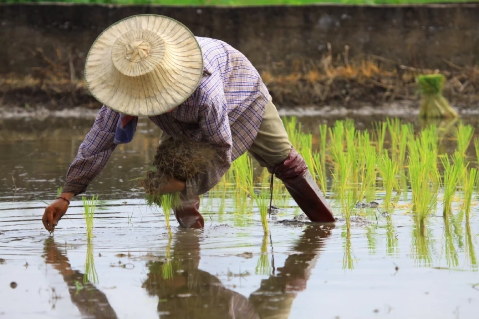 6เดือนเงินเฟ้อทั่วโลกชะลอตัว  ไทยเกาะกลุ่มมีเงินเฟ้อต่ำอันดับ9