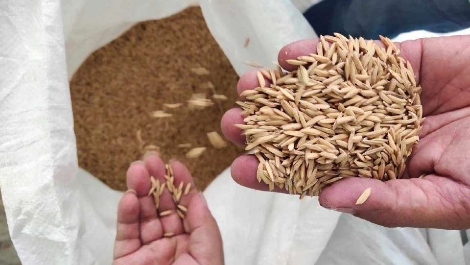 สศก.โชว์ผลงาน ‘วิสาหกิจชุมชนฅนพิจิตรอินทรีย์’ สร้างรายได้ 3.2 ล้าน/ปี