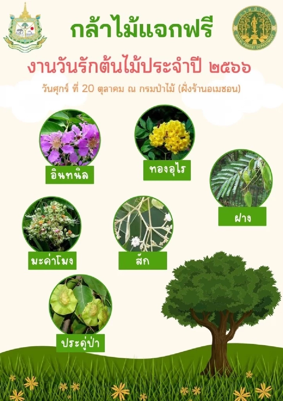  21 ตุลาคมของทุกปีวันรักต้นไม้ประจำปีของชาติ 