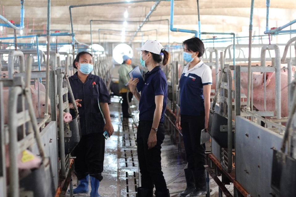 เรียนรู้โมเดลธุรกิจ ‘AMCOVET’ ก้าวสู่ผู้นำ ‘ธุรกิจสุกรครบวงจร’ ด้วยแนวคิด ‘Integrated Solutions’