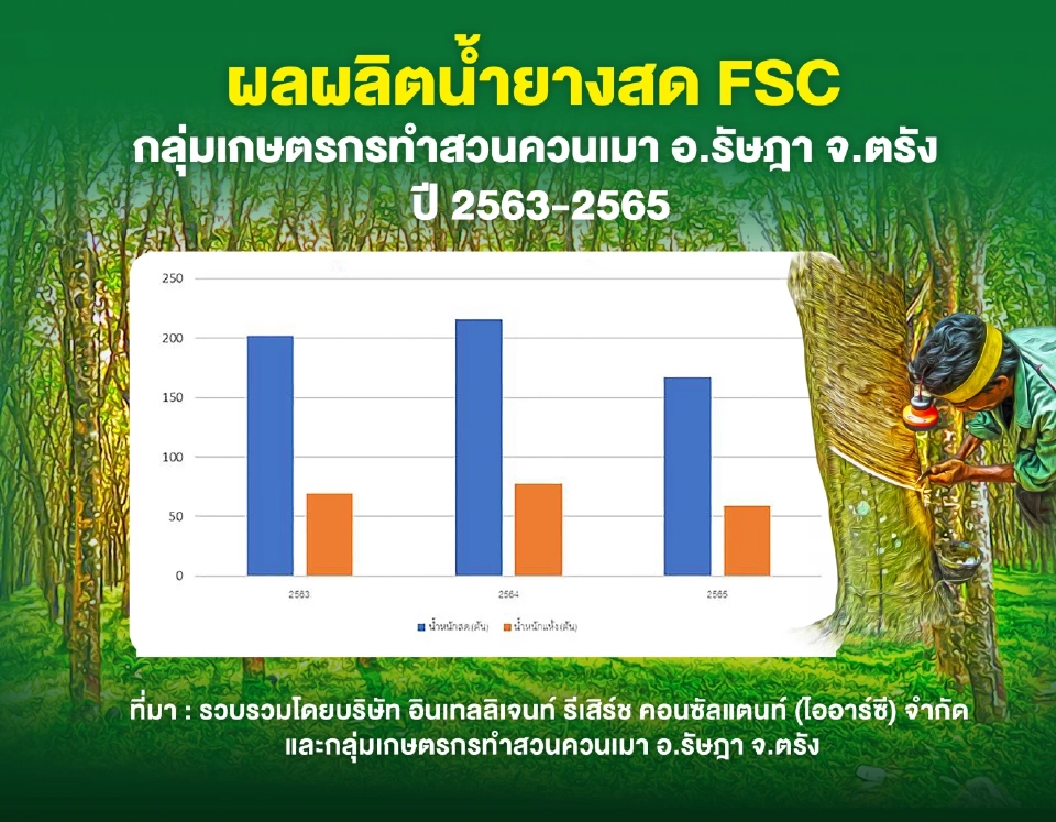 เมื่ออนาคตไล่ล่า "สวนยางยั่งยืนไทยยังเคว้ง" ต้องเร่งสร้างความชัดเจน