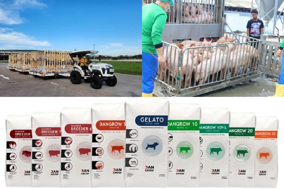 เรียนรู้โมเดลธุรกิจ ‘AMCOVET’ ก้าวสู่ผู้นำ ‘ธุรกิจสุกรครบวงจร’ ด้วยแนวคิด ‘Integrated Solutions’