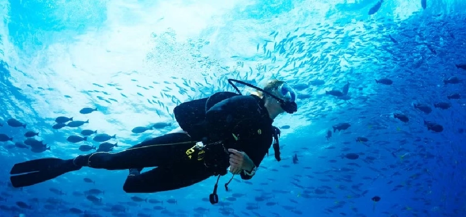 ฟิลิปปินส์ยังได้รับรางวัลจุดหมายปลายทางการดำน้ำชั้นนำของเอเชียเป็นปีที่ 5 ติดต่อกัน 