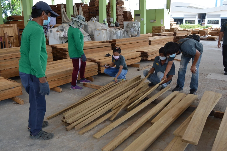 องค์การอุตสาหกรรมป่าไม้ ดันขยายพื้นที่ปลูกไม้โตเร็ว เพิ่มยอดส่งออก