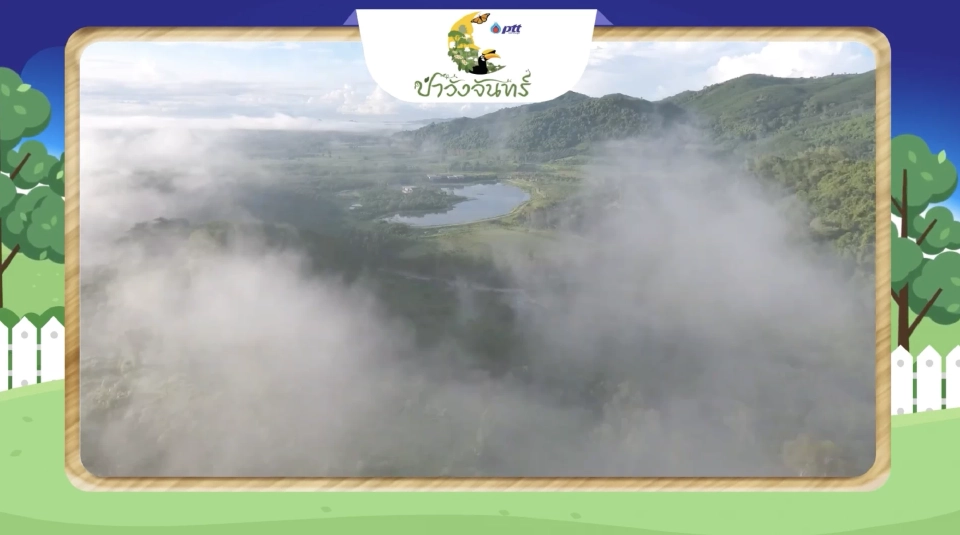 ป่าวังจันทร์ จ.ระยอง