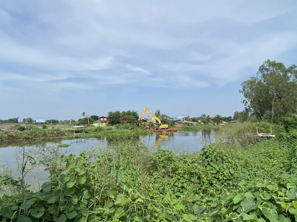 ชป. ลุยเก็บผักตบชวา ลดการแพร่ขยายพันธุ์