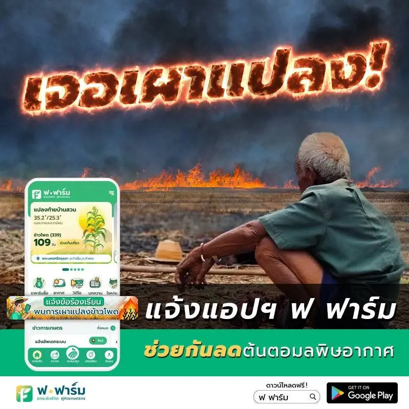ซีพีเปิดช่องทางแจ้งเบาะแสเผาแปลง“ข้าวโพด”ชวนคนไทยร่วมยุติการเผา