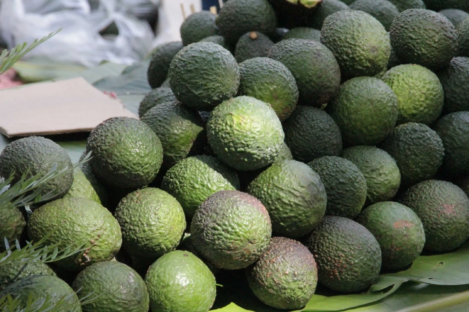 สถานีพัฒนาการเกษตรที่สูง ต่อยอดสู่โรงเรียนผลิต แปรรูป พร้อมจำหน่าย