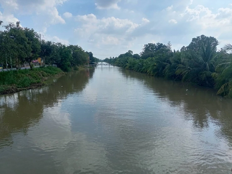 ชป. ลุยเก็บผักตบชวา ลดการแพร่ขยายพันธุ์