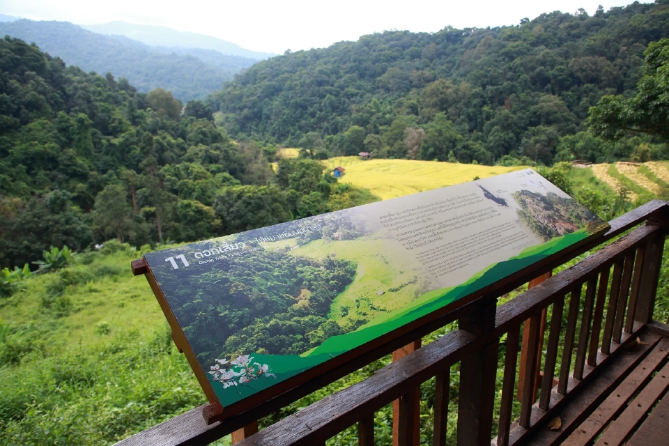 เอ็กโก กรุ๊ป และมูลนิธิไทยรักษ์ป่า ส่งมอบ “เส้นทางศึกษาธรรมชาติผาดอกเสี้ยว”