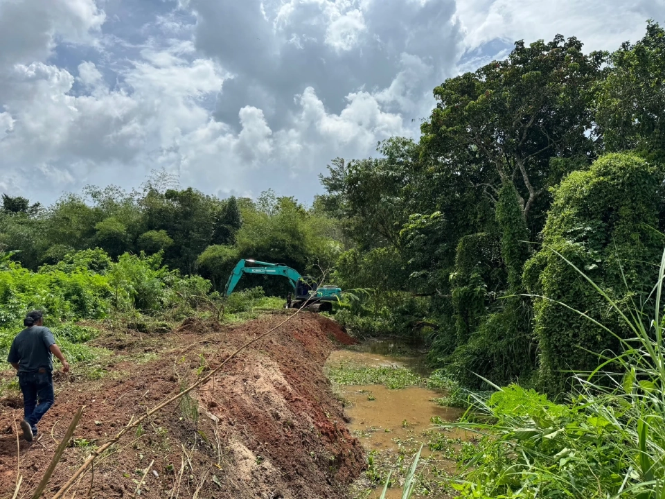 ชป. ลุยเก็บผักตบชวา ลดการแพร่ขยายพันธุ์