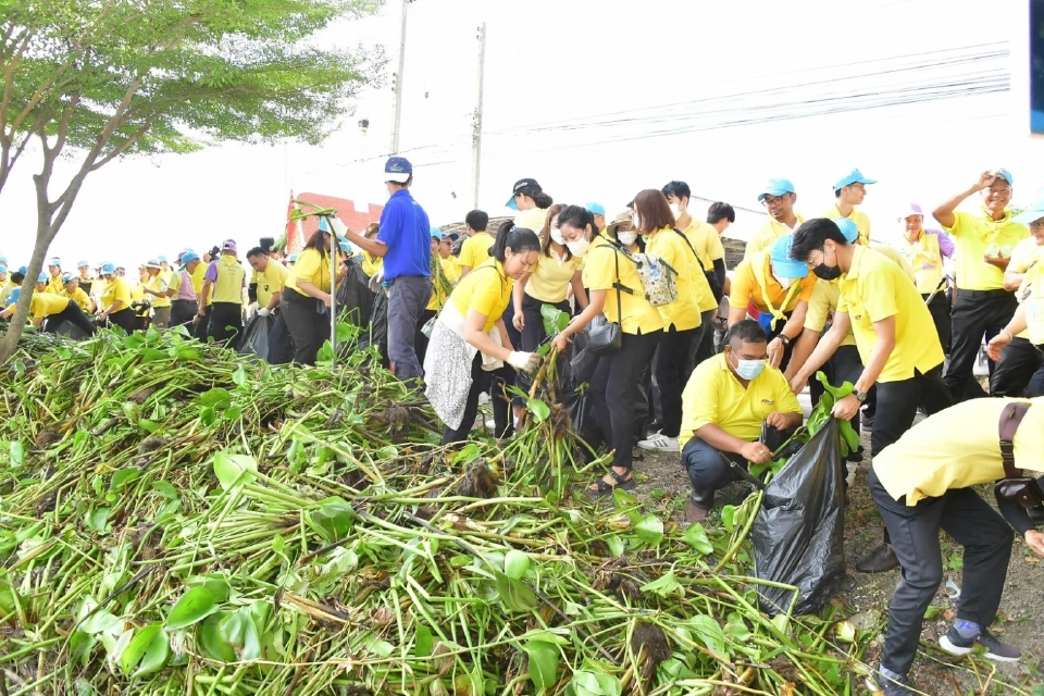 กรมชลฯ Kick off กำจัดผักตบชวา 17 จุดทั่วประเทศ