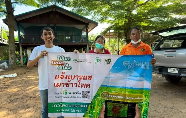 ซีพีเปิดช่องทางแจ้งเบาะแสเผาแปลง“ข้าวโพด”ชวนคนไทยร่วมยุติการเผา