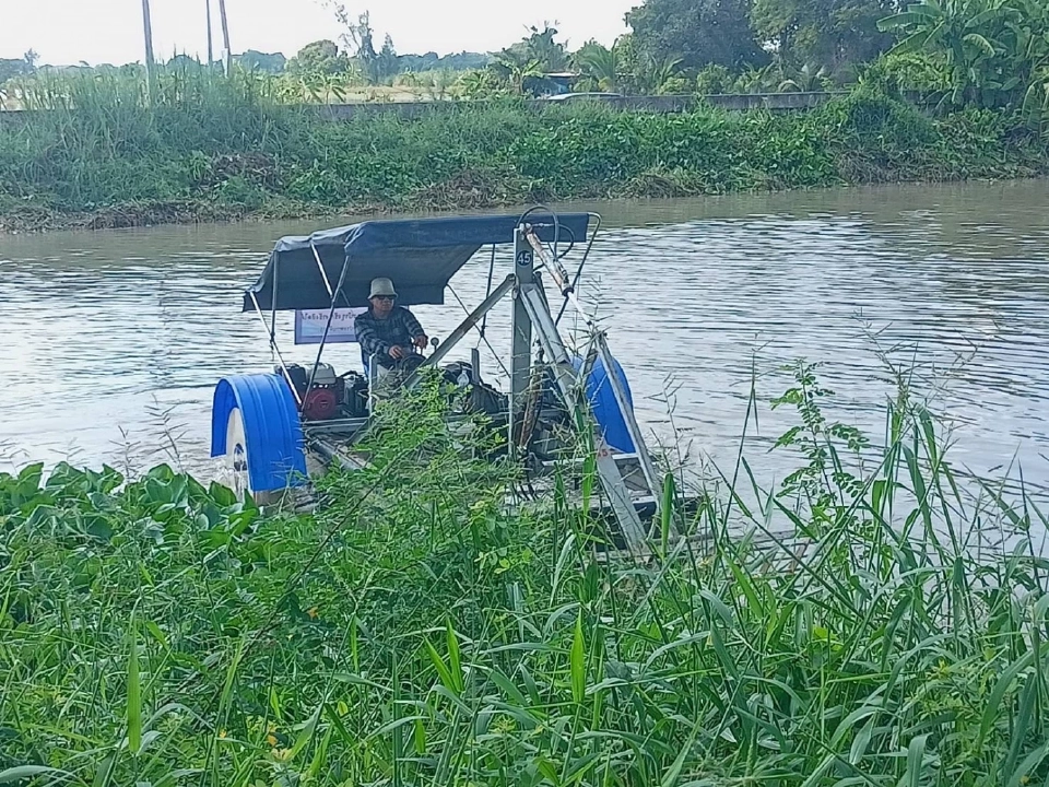 ชป. ลุยเก็บผักตบชวา ลดการแพร่ขยายพันธุ์
