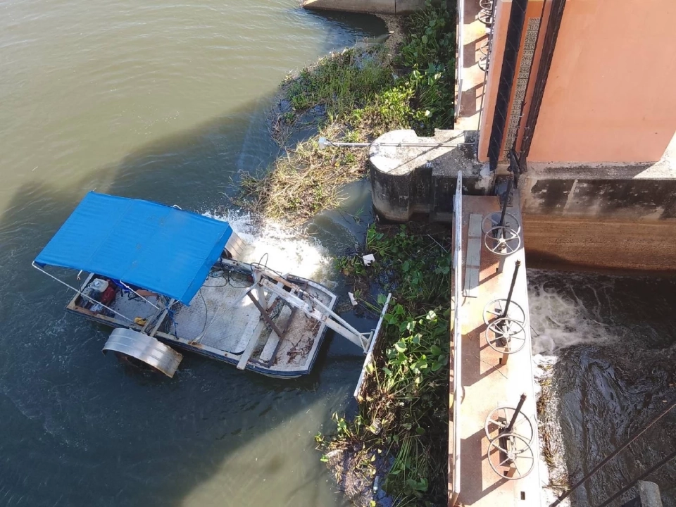 ชป. ลุยเก็บผักตบชวา ลดการแพร่ขยายพันธุ์