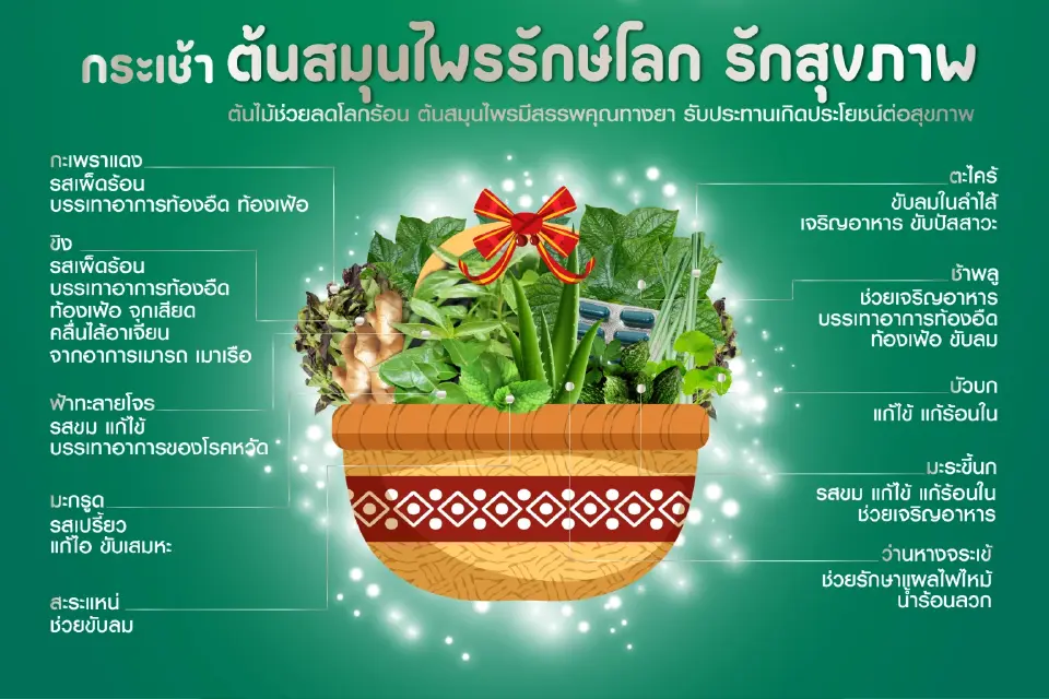 เปิด"กระเช้าสมุนไพร" 3 รูปแบบ เน้นสุขภาพ-หาซื้อง่าย เหมาะของขวัญปีใหม่