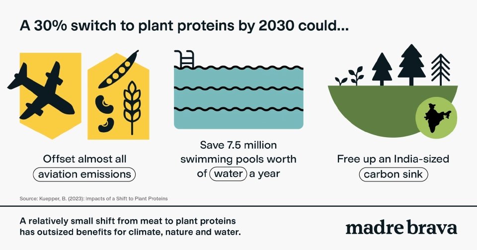 บริโภค &quot;โปรตีนพืช&quot; ช่วยลดก๊าซเรือนกระจก เพิ่มพื้นที่สีเขียว และประหยัดน้ำ - Madre Brava