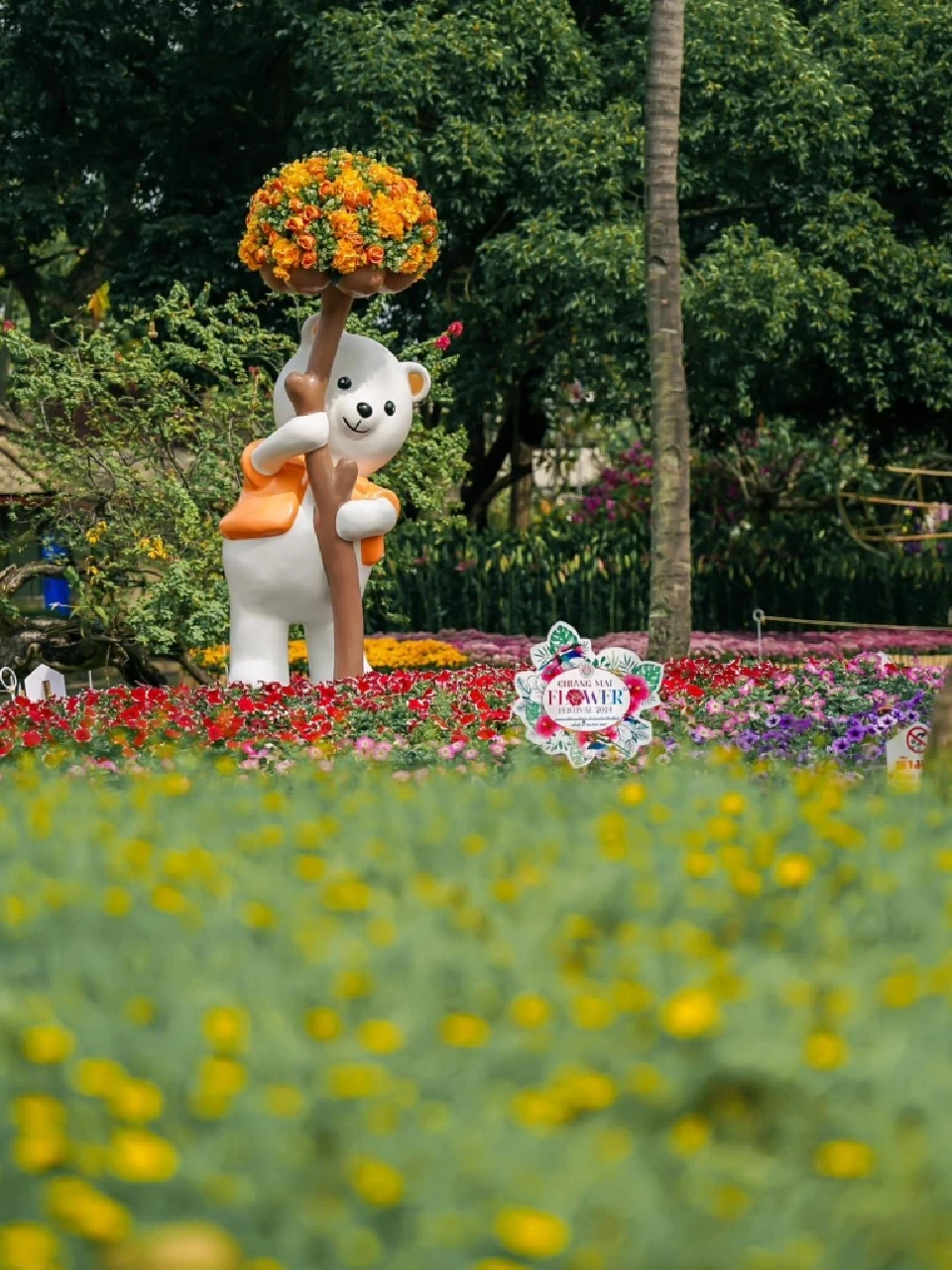 มหกรรมไม้ดอกไม้ประดับเชียงใหม่ 2567 เช็คกำหนดการ-พิธีเปิดที่นี่