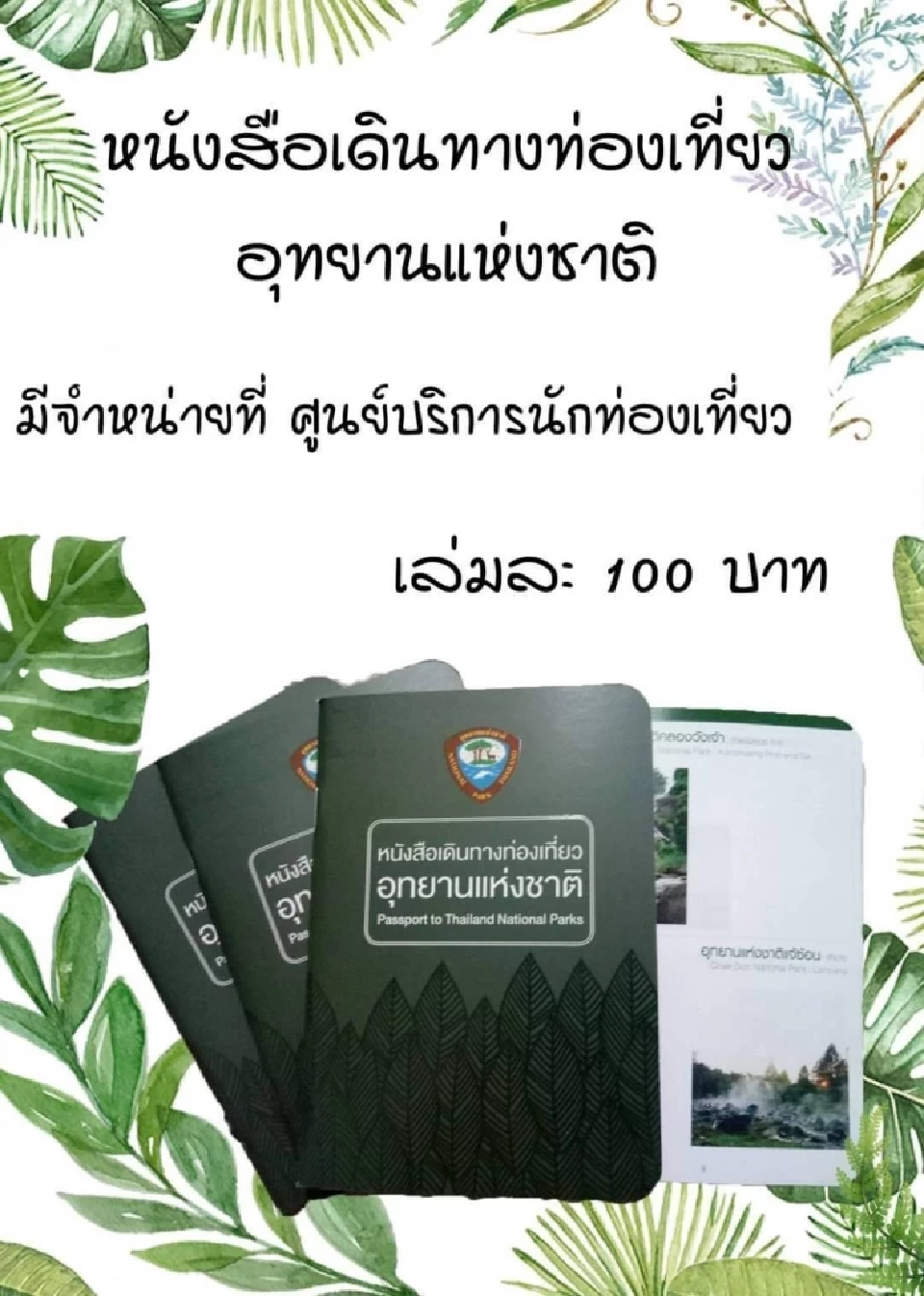 ขาเที่ยวเฮ!ประทับตรา “พาสปอร์ตอุทยาน” ครบทุกแห่ง เที่ยวอุทยานฟรี 1 ปี พักฟรี