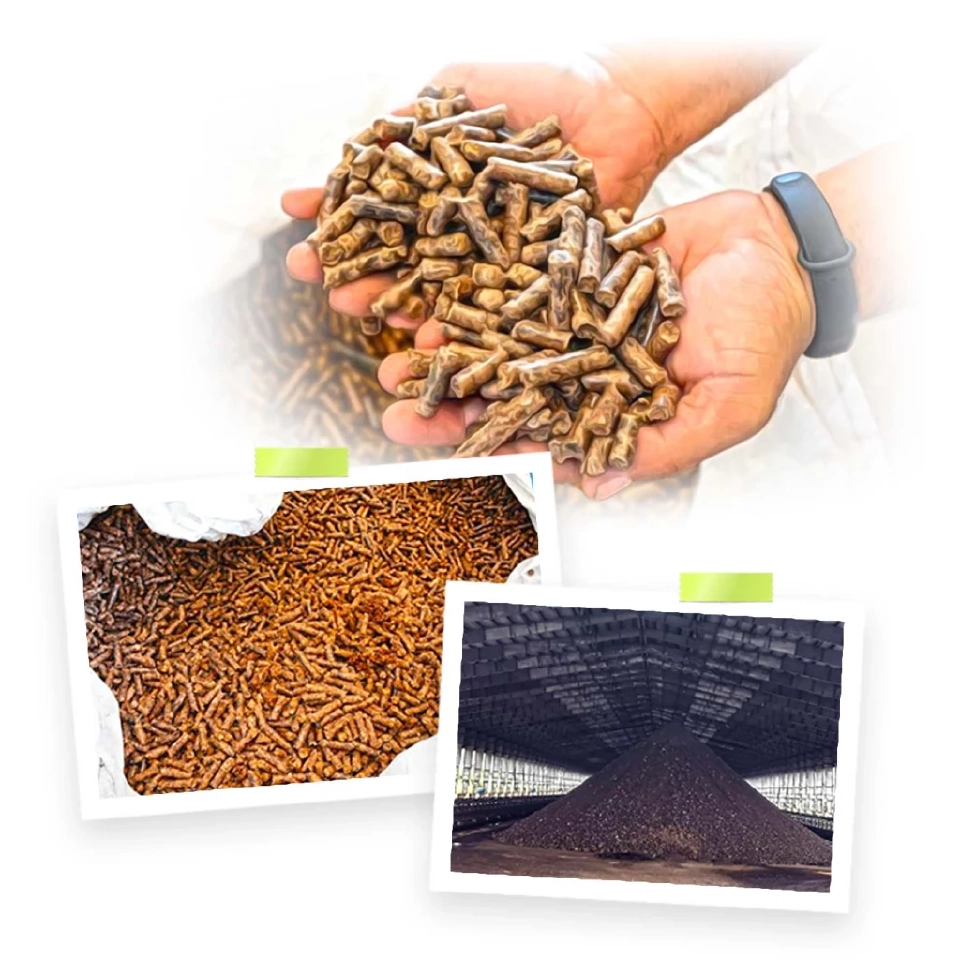 โรงไฟฟ้าแม่เมาะ ผสมชีวมวลร่วมกับถ่านหิน มุ่งสู่ความเป็นกลางทางคาร์บอน