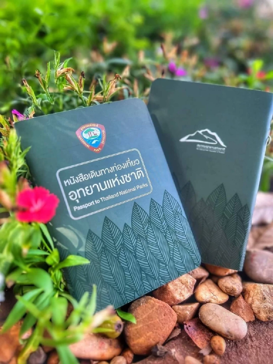 ขาเที่ยวเฮ!ประทับตรา “พาสปอร์ตอุทยาน” ครบทุกแห่ง เที่ยวอุทยานฟรี 1 ปี พักฟรี