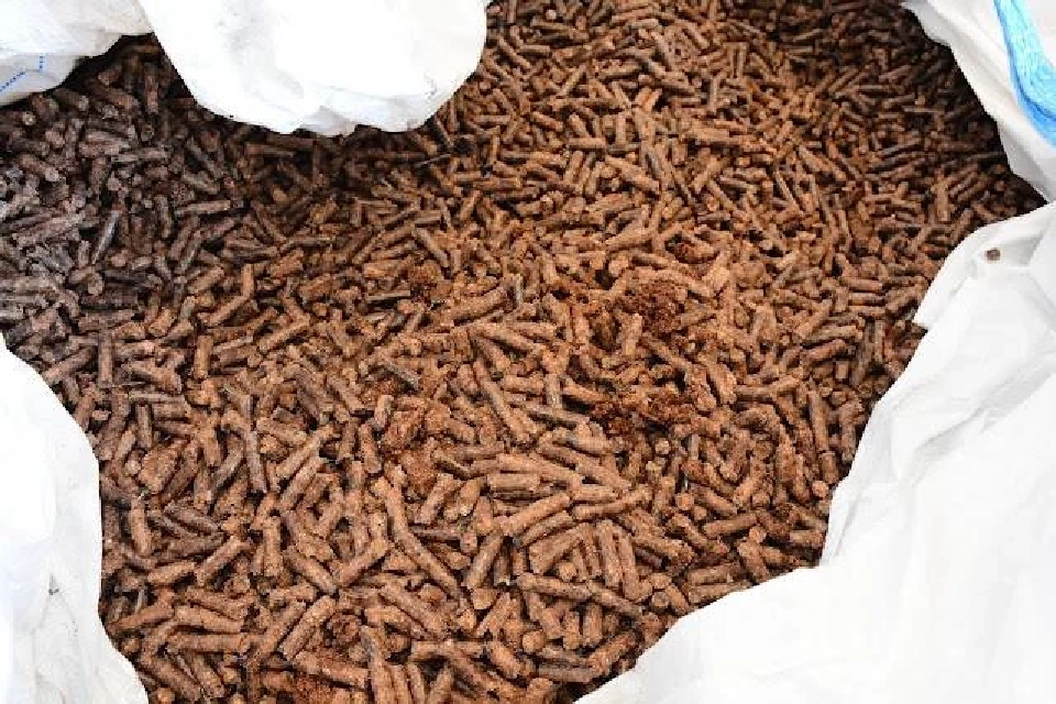 โรงไฟฟ้าแม่เมาะ ผสมชีวมวลร่วมกับถ่านหิน มุ่งสู่ความเป็นกลางทางคาร์บอน