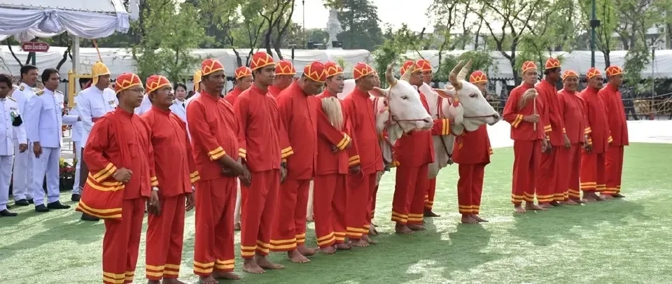 ทำความรู้จัก  พระโคแรกนาขวัญ พระราชพิธีจรดพระนังคัลแรกนาขวัญ 2567