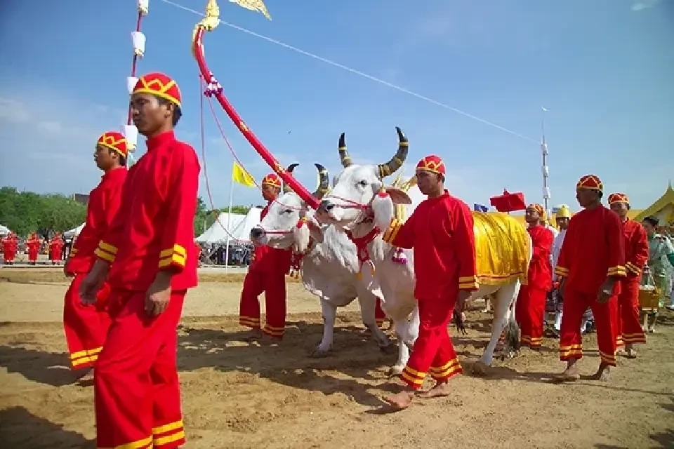 ทำความรู้จัก  พระโคแรกนาขวัญ พระราชพิธีจรดพระนังคัลแรกนาขวัญ 2567