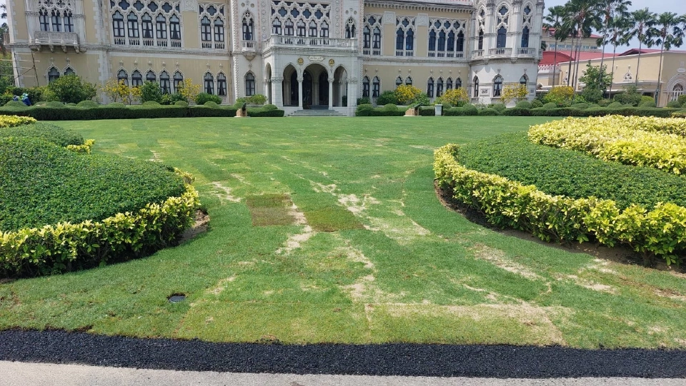 เทียบสนามหญ้าหน้าตึกไทยคู่ฟ้าปรับปรุงใหม่ เกรดสนามกอล์ฟ