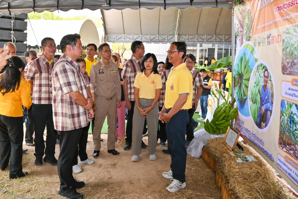 ขยายผล“ภูตะวันออร์แกนิคฟาร์ม” โมเดล สร้างรายได้เกษตรกร 3.8 ล้าน /ไร่/ปี