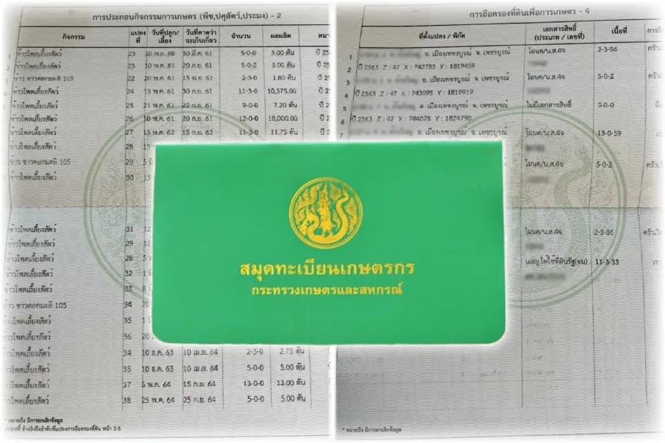 ทางออกลดหมอกควันภาคเหนือ เอกชนควรมีระบบตรวจสอบย้อนกลับ