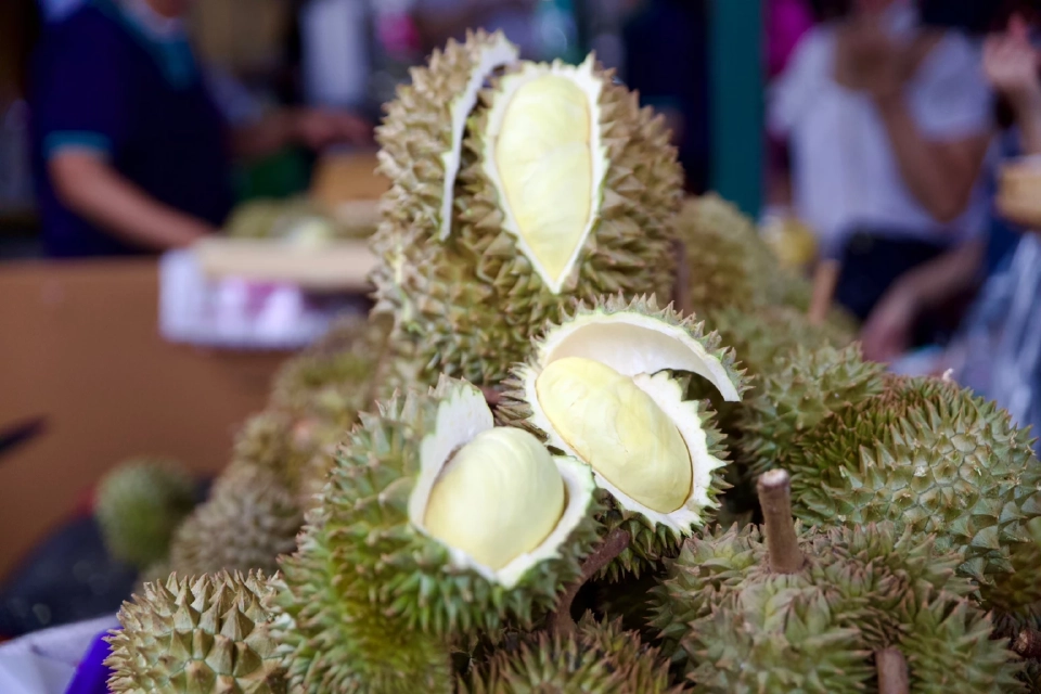 สยามพารากอน จัดเต็มบุฟเฟ่ต์ทุเรียนหลากหลายสายพันธุ์