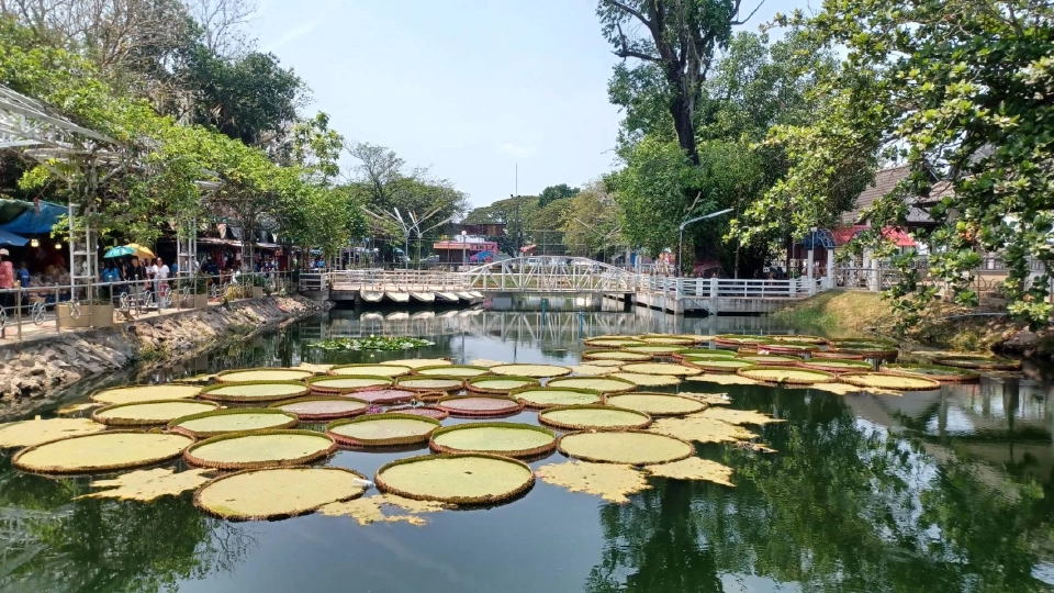 "มหาสงกรานต์แก่งสะพือ" คาดเงินสะพัดกว่า 500 ล้าน